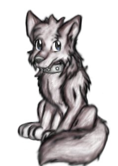 Omby Puppy
