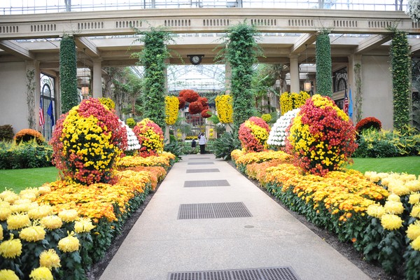 Longwood Conservatory