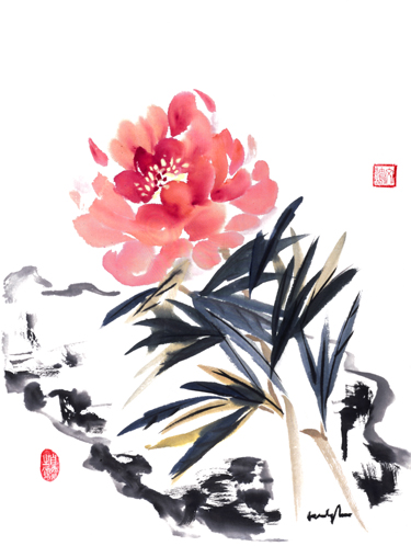 Peony