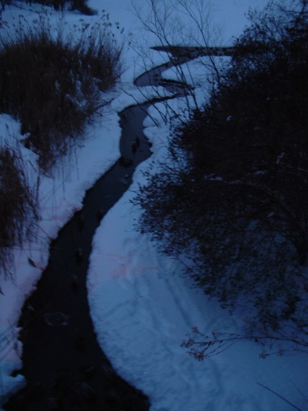 the path 