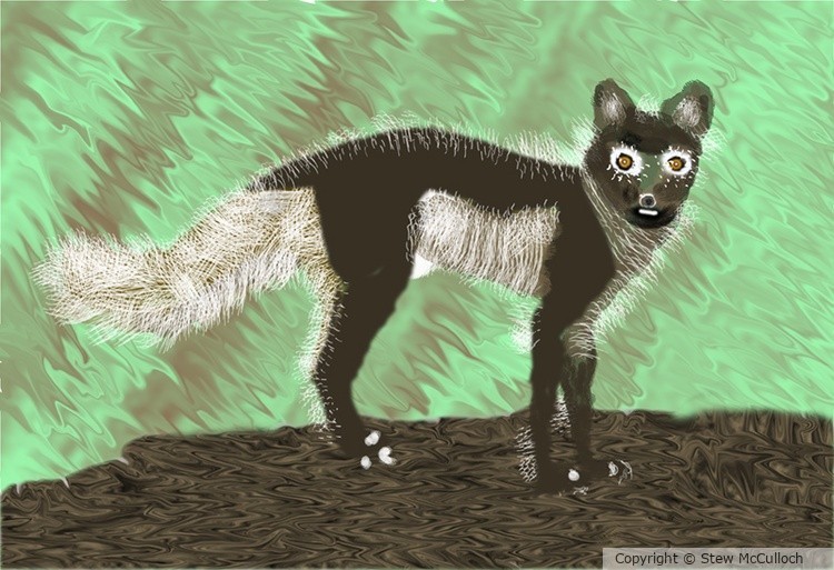 Abstract Fox P259