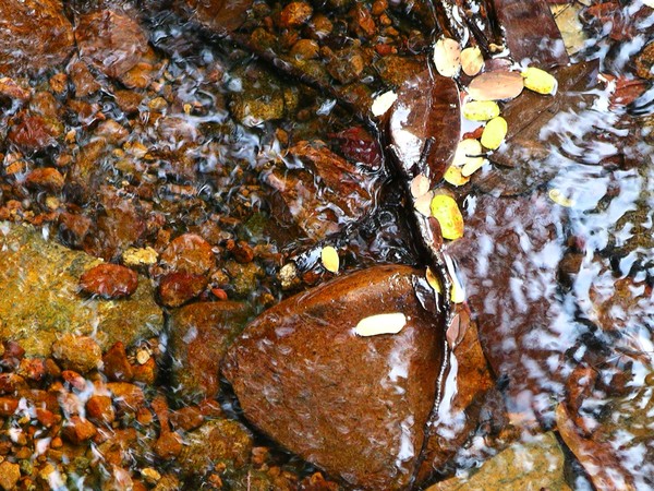 River bed