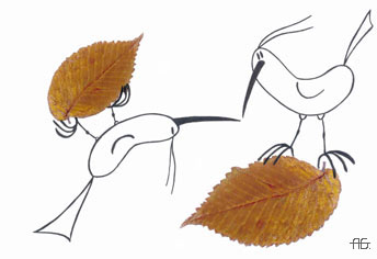 Autumn birds