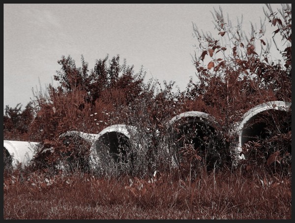 Overgrown Pipes