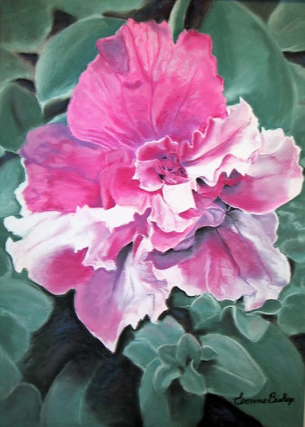 Petunia Rhapsody