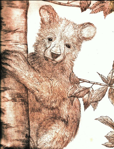 Brown Bear Up A Birtch