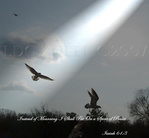 I Shall Put on a Garment of Praise