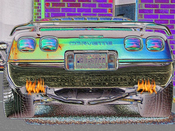 Vette