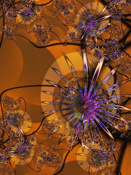 Fractal Blooms in Orange