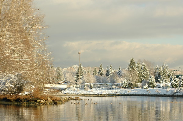 Snowy River