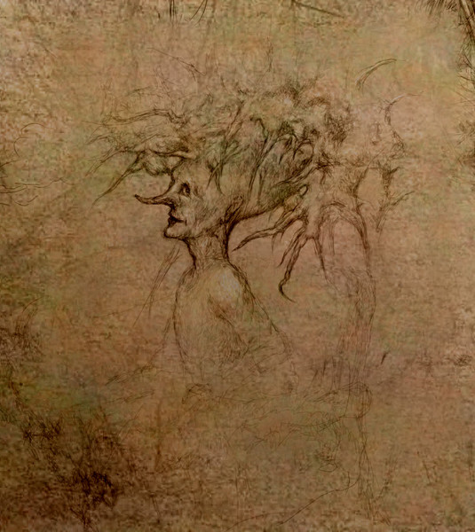 witch of the forest