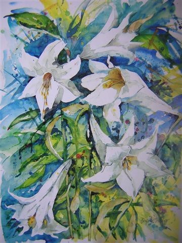 White Lily