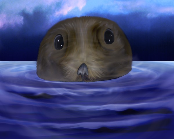 otter