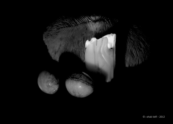 a Candle & others -1