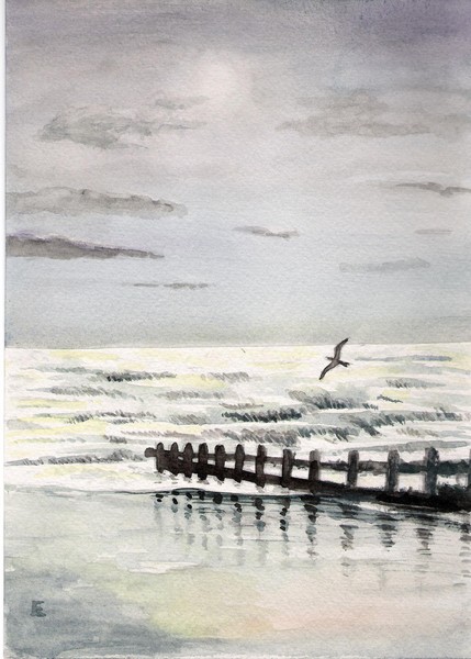 Bird over the sea