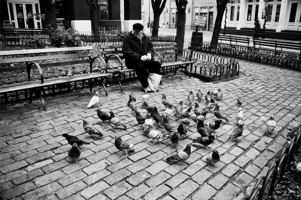 NYC Feeding Time