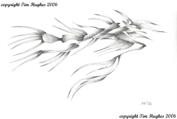 'Flight'