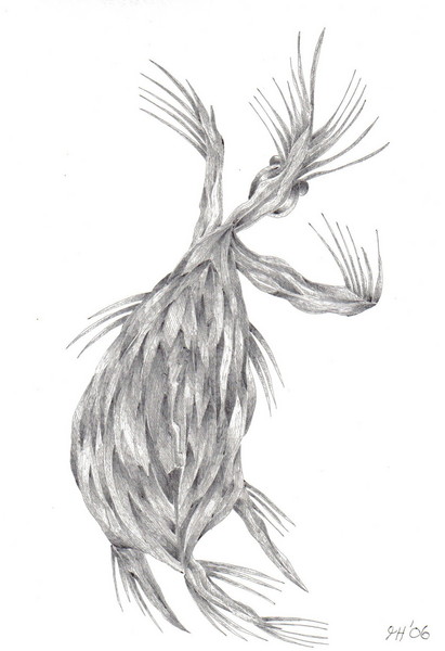 'Ghost'