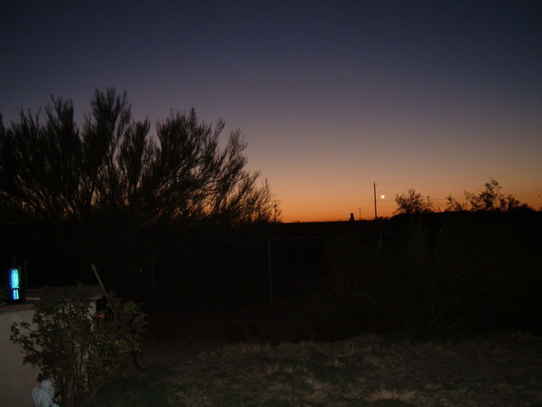 Backyard Sunset