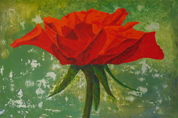 rose on green