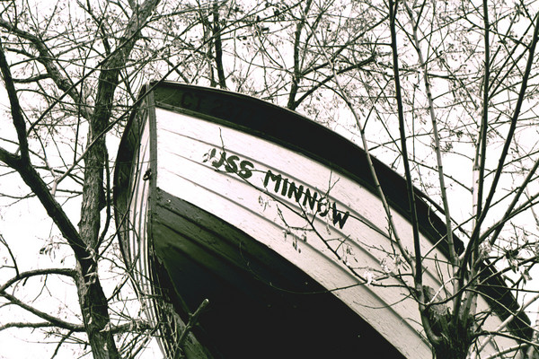 Boat in a Tree