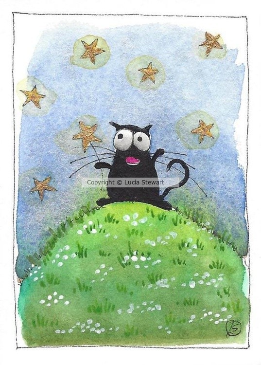 A Shooting Star