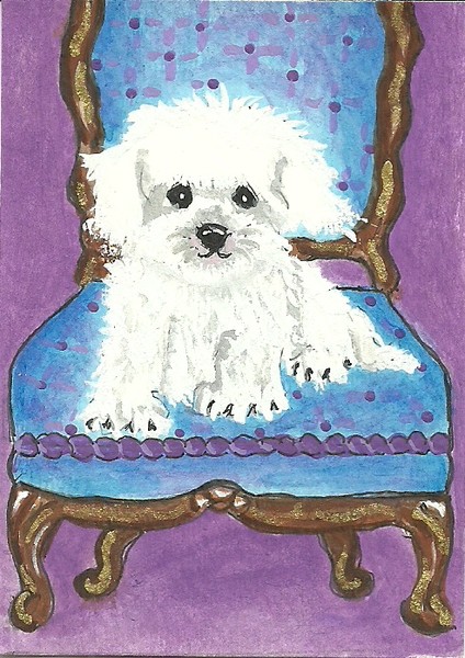 Little Dog in a Chair