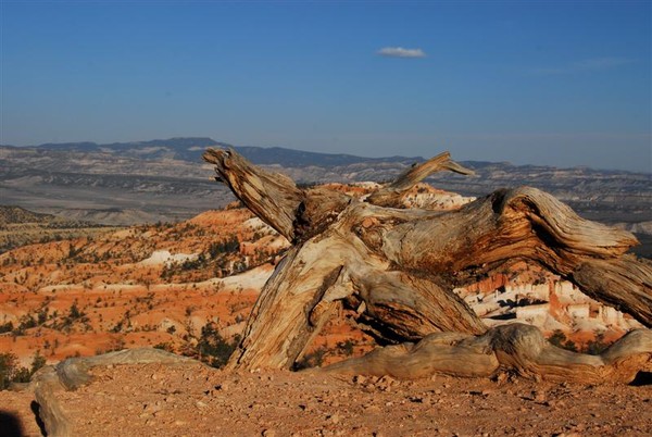 Bryce canyon -Utah