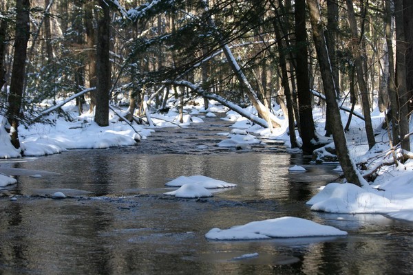 Riddle Brook