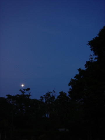 moon light
