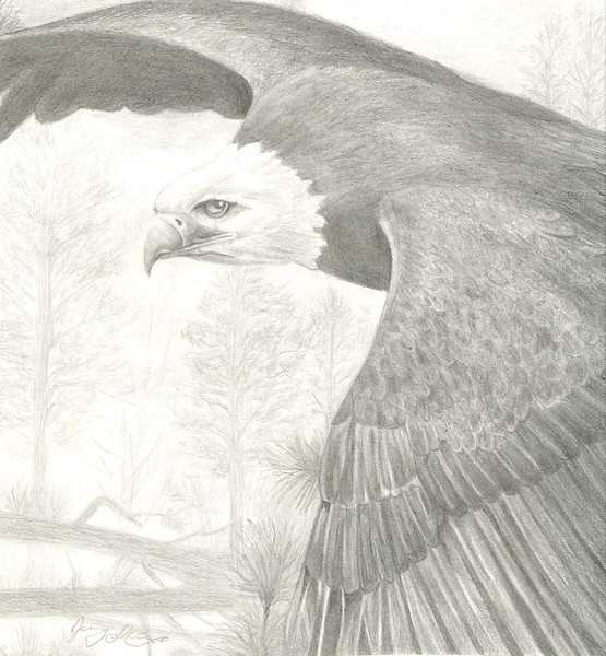Eagle