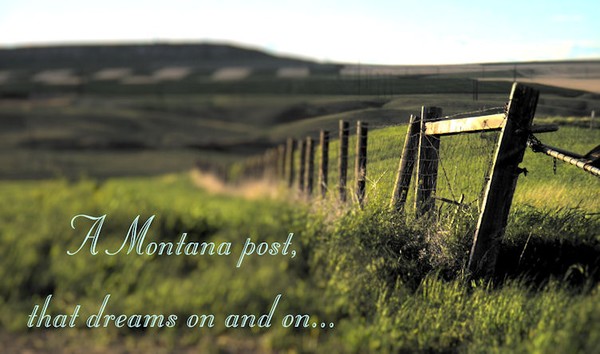 Post Card #2