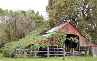 Old Castle Barn in California