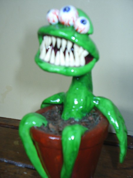 Plants Carnivorous