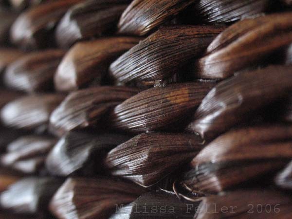 weave