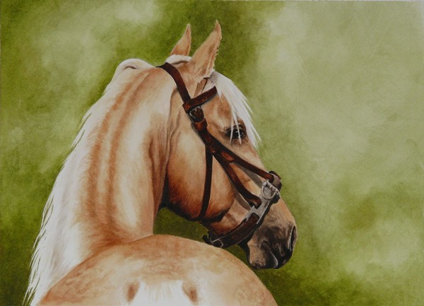 American Saddlebred student