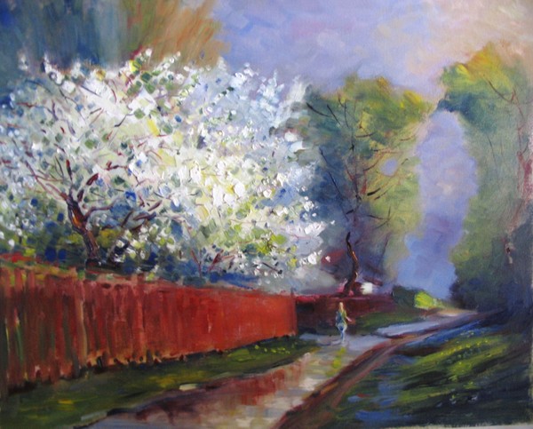 blooming crab apple trees after a shower of rain 