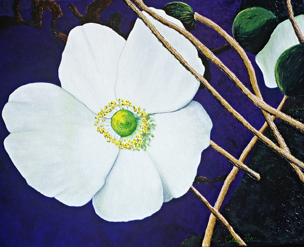 Glowing Softly: White Flower