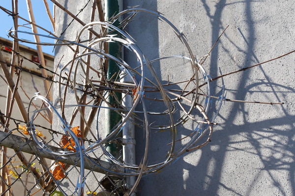 Barbed shadows