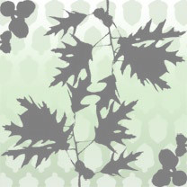 Acorn/Leaf design