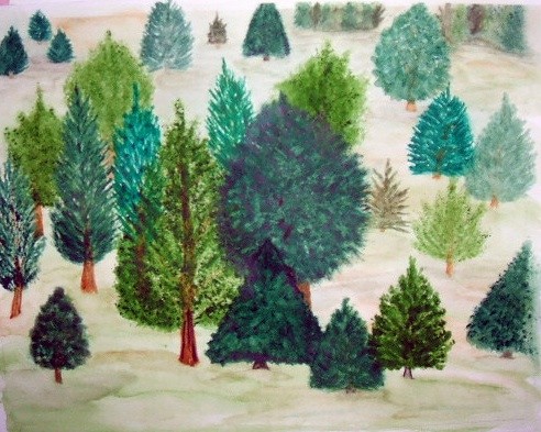 Forest