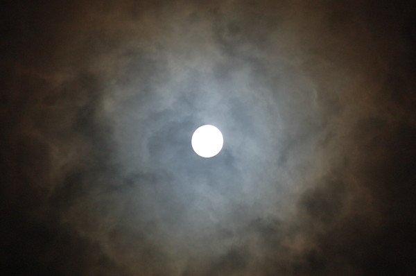 Harvest Moon