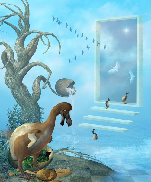 Dodo