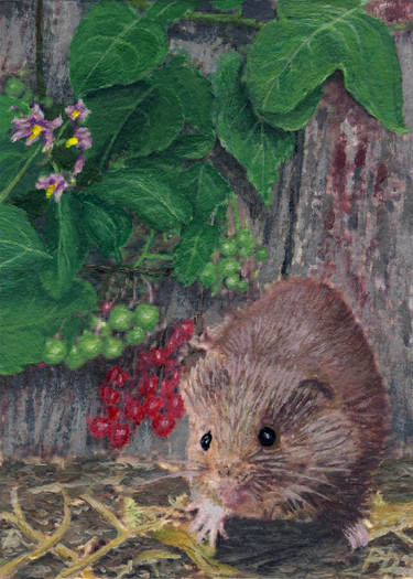 ACEO - Wildlife Series - Deadly