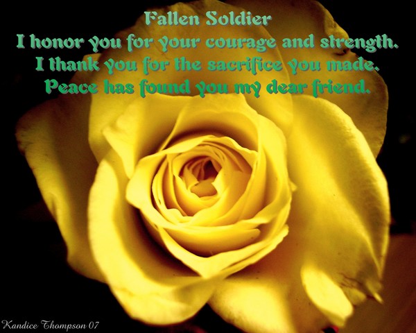 Fallen Soldier~Collaboration