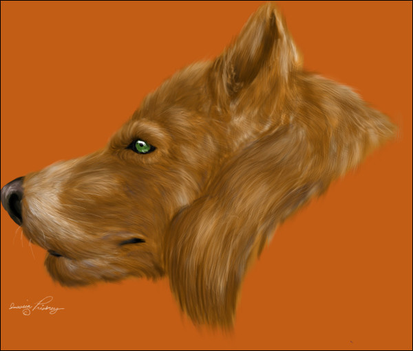 Alkan wolf