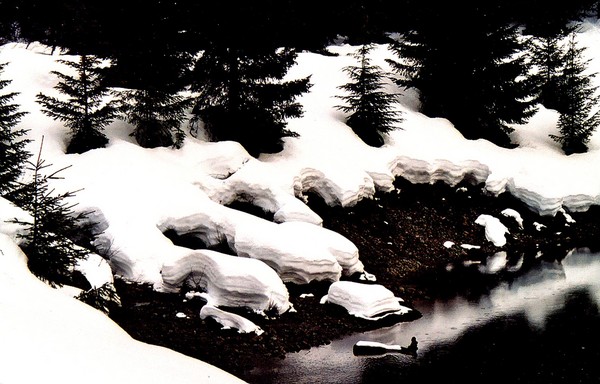 Gold Lake in Winter