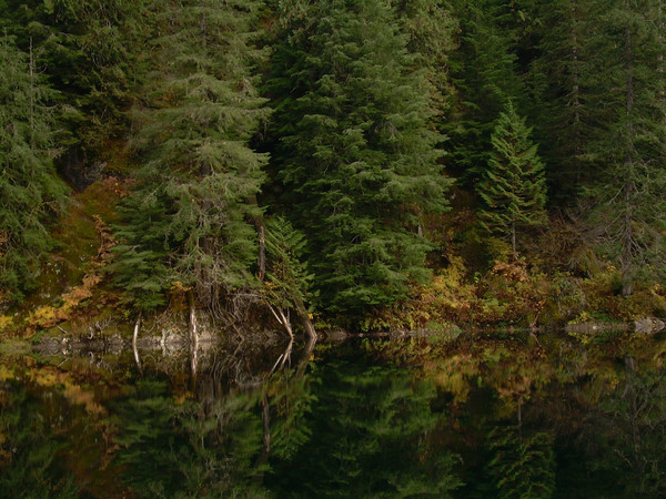 Trout Lake