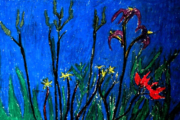 Wild Flowers