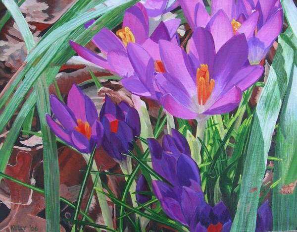 Crocuses